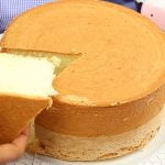 sponge cake