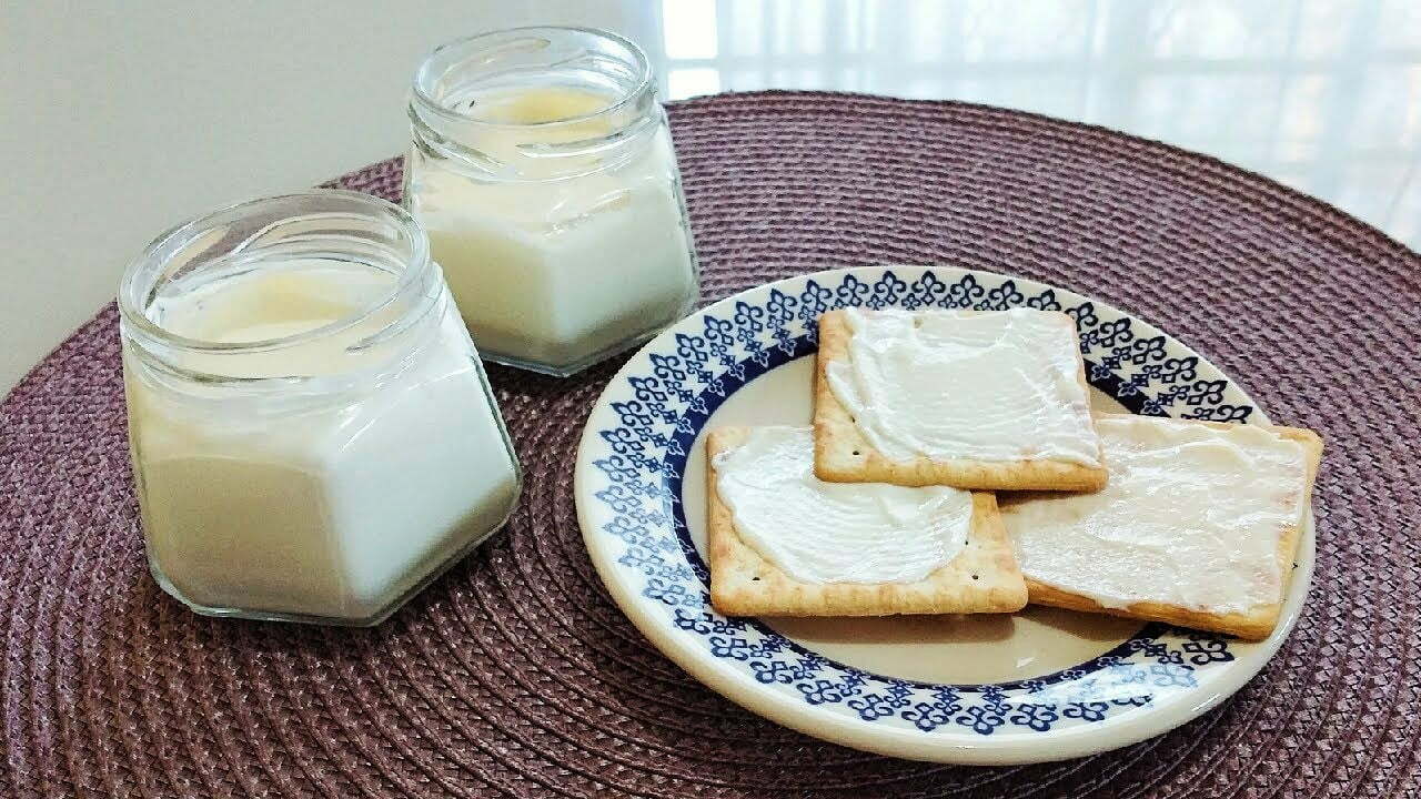 Homemade cream cheese