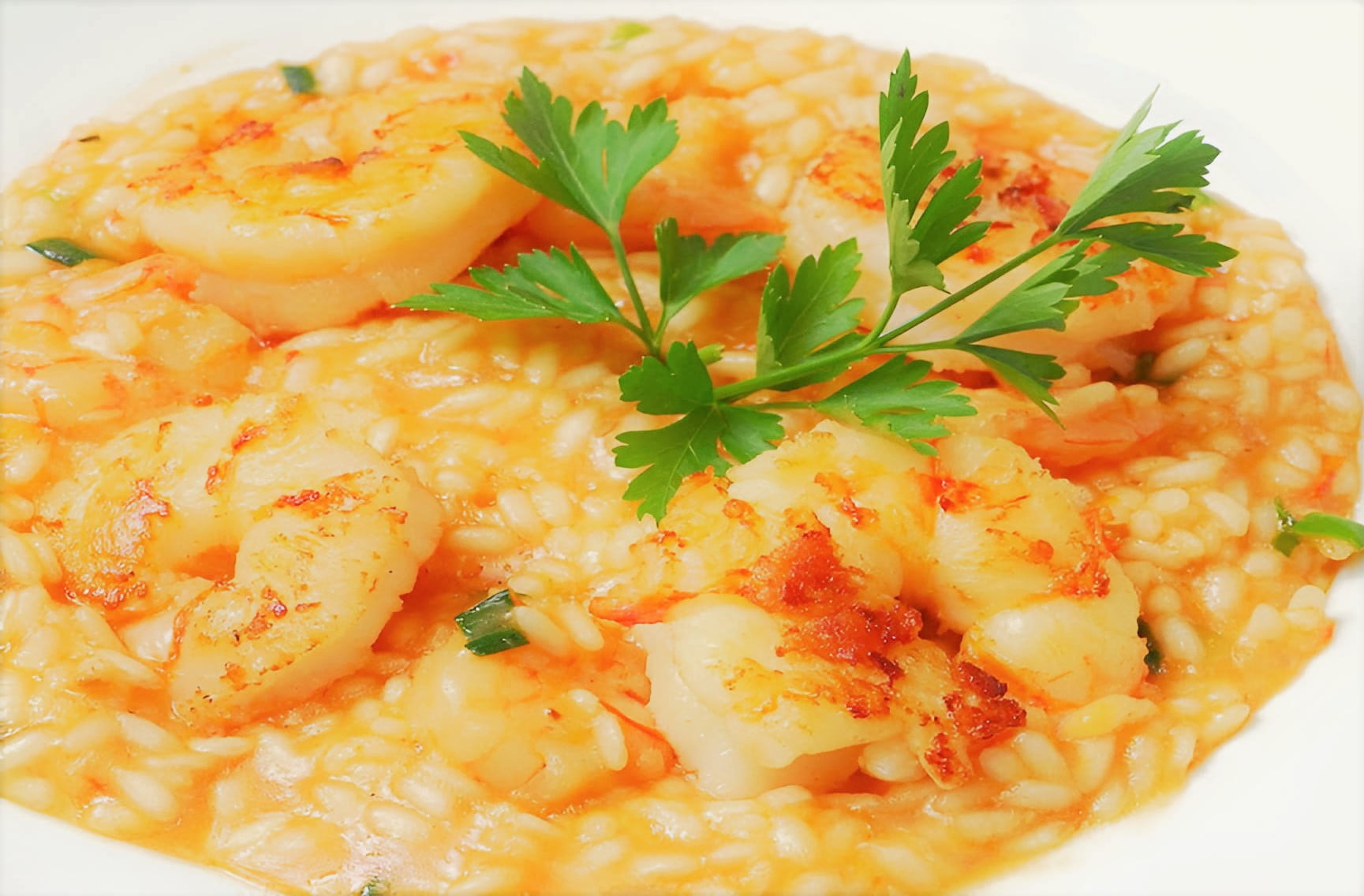 Shrimp risotto