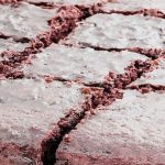 Simple chocolate cake