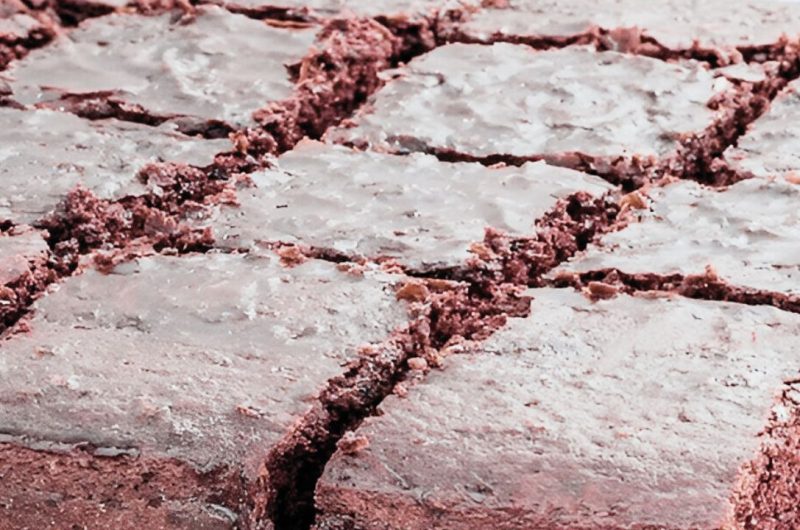 Simple chocolate cake