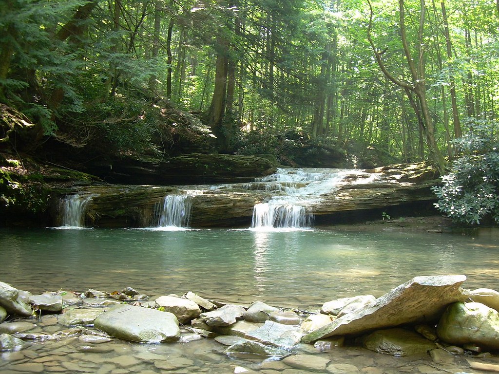 Exploring South Park Game Preserve in Pennsylvania